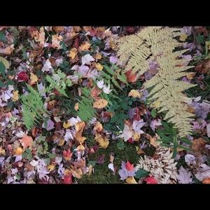 Meet your Posher, Lynn